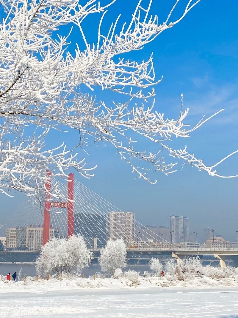 吉林情，家乡荣——我的骄傲之地