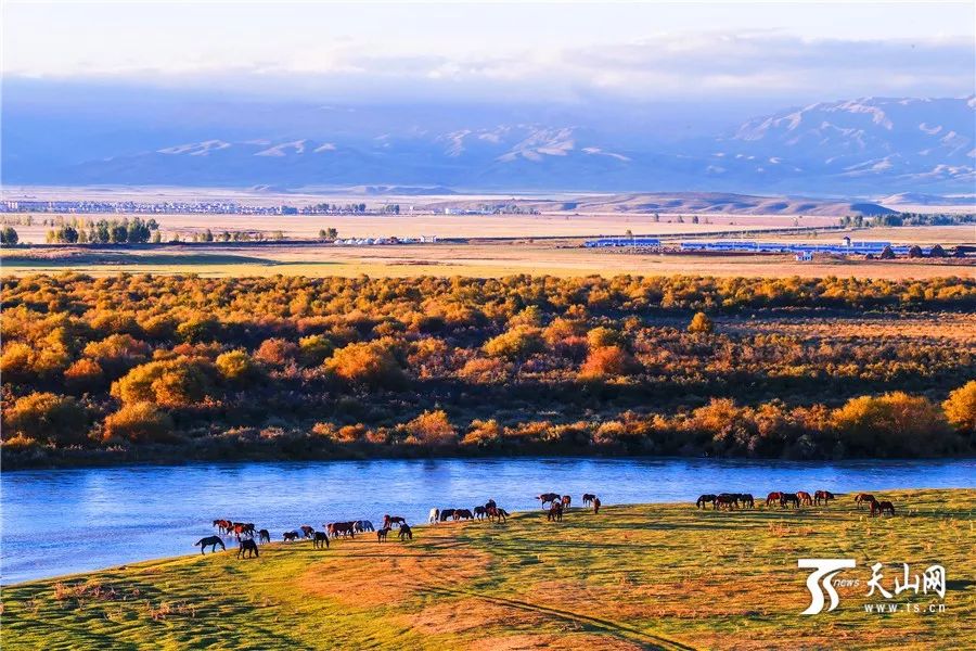 新疆，多元文化融合下的区域发展之路